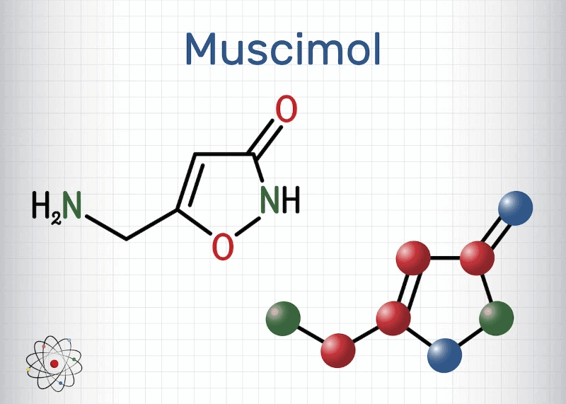 Muscimol Chemical Symbol