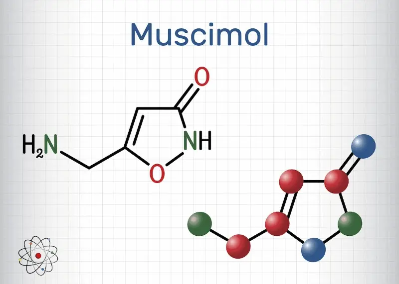 Muscimol Chemical Structure
